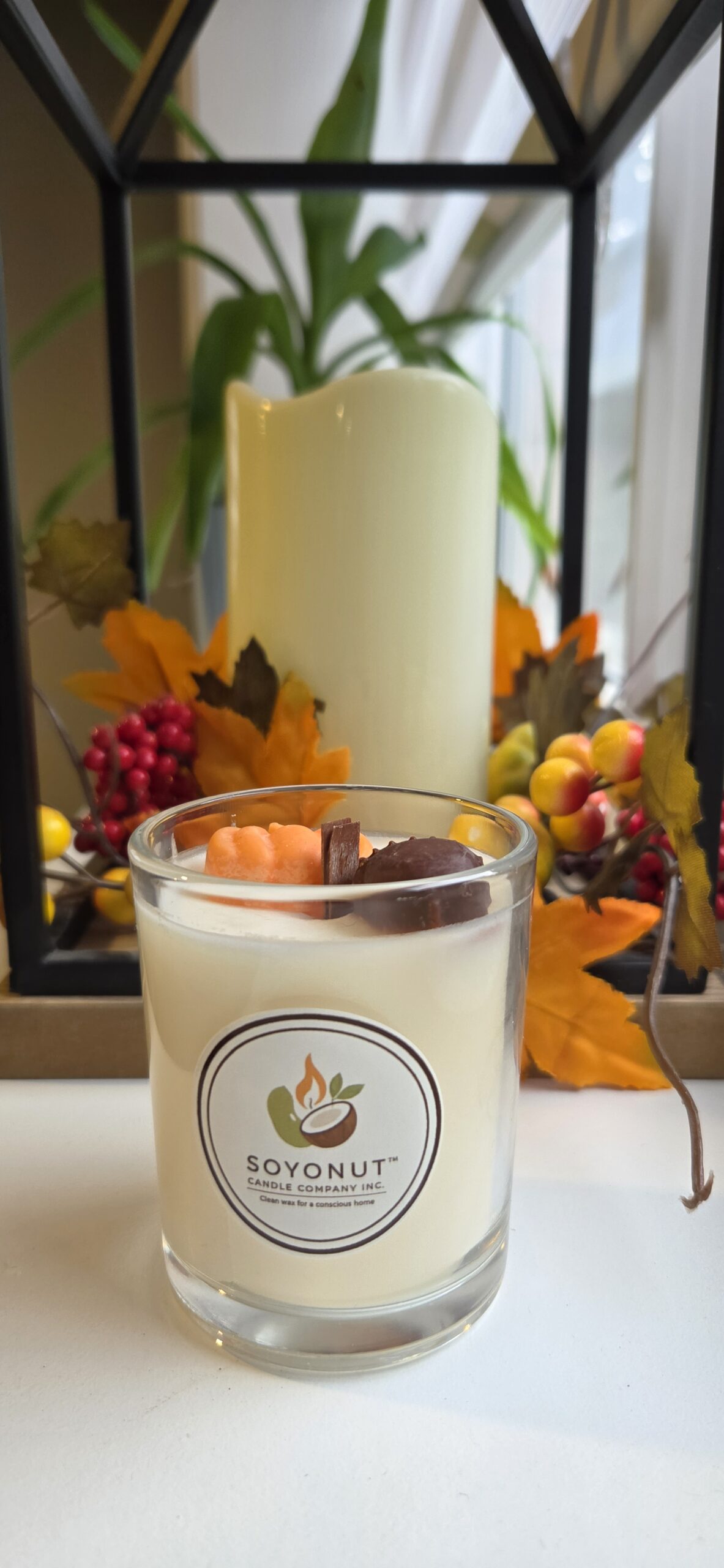 Lavender Coconut - Image 5